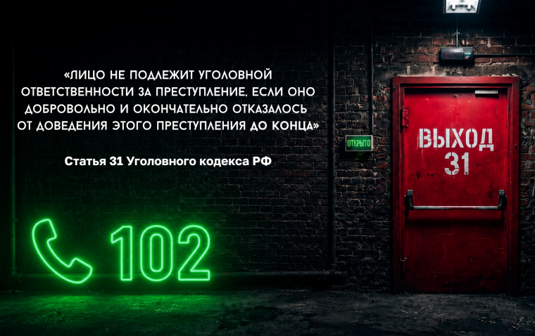 vihod 31.5